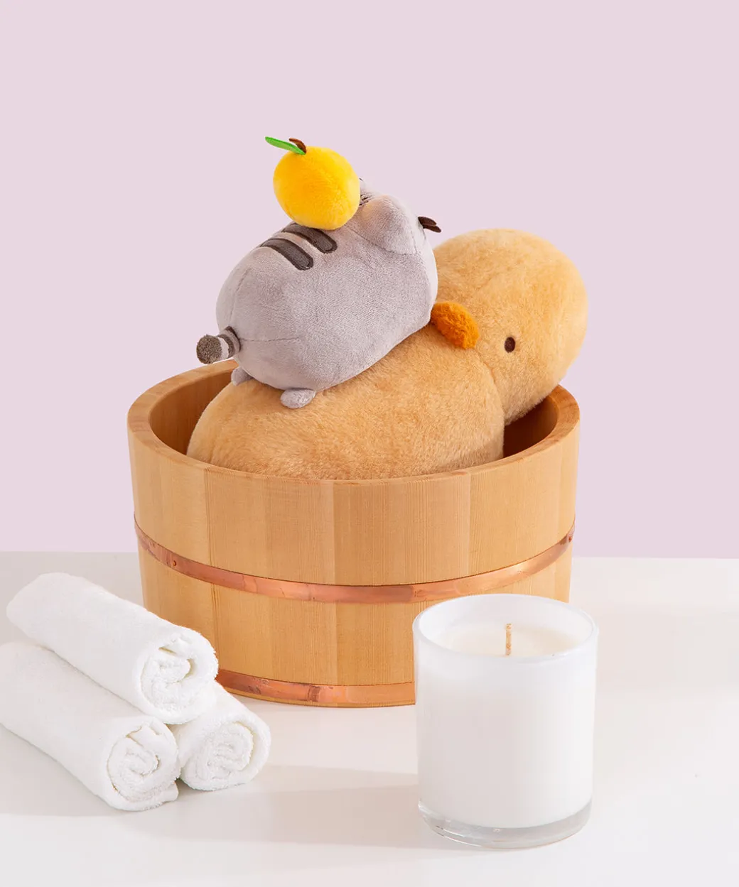 Pusheen & Capybara Plush