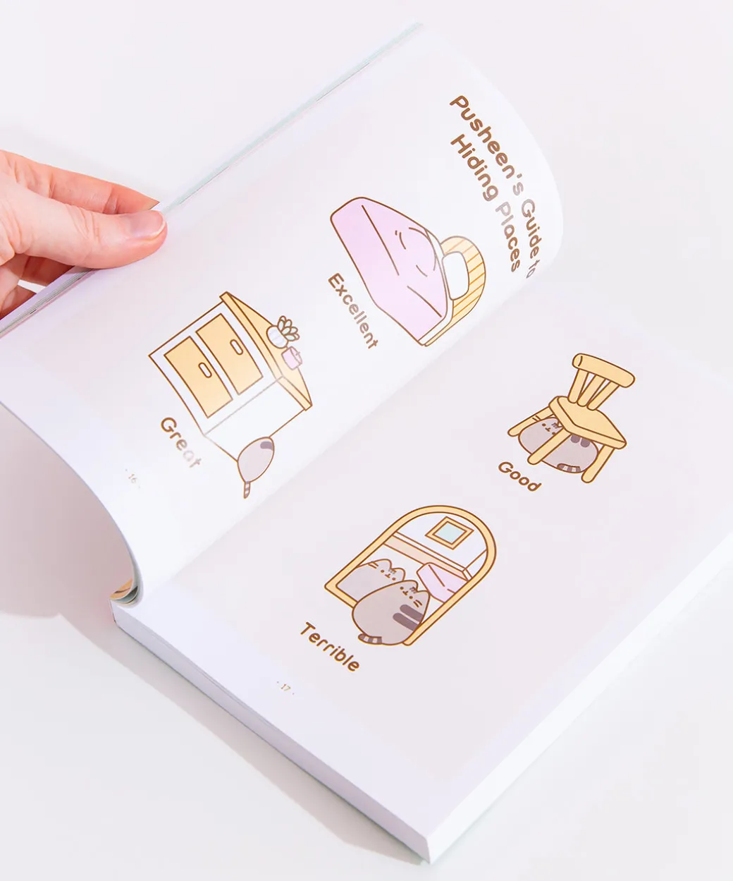 Pusheen the Cat's Guide to Everything Paperback